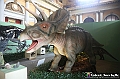 VBS_1062 - Dinosauri. Terra dei giganti